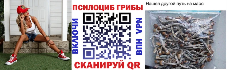 Купить  Белорецк  Псилоцибиновые грибы Magic Shrooms 